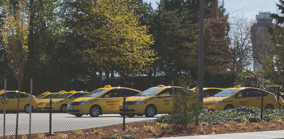Yellow taxis photographed in Seattle for the original Teamster Taxi airport contract report
